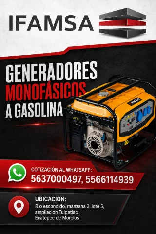 G Monofasico a gasolina