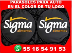 PARASOLES PARA AUTOS PERSONALIZADOS PARA CAMPAÑAS