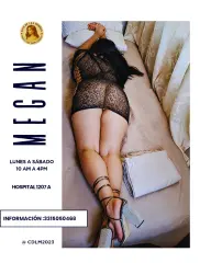 Megan hoy domingo en CDLM  ven de 11am a 4pm - foto 4