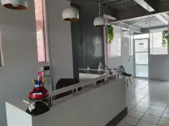 RENTA DE OFICINAS EN MUNDO E - foto 2