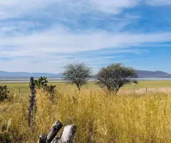 terreno frente a la laguna