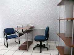 TU CRECIMIENTO CON OFICINA VIRTUAL EN GUZTAVO BAZ - foto 4