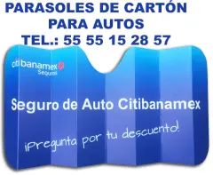 CUBRE PARABRISAS DE CARTON CON TU LOGO PARA AUTO - foto 3