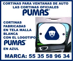 CORTINAS PARA AUTO PARA CAMPAÑAS - foto 2