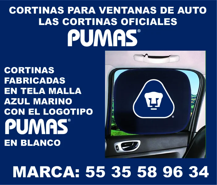 CORTINAS PARA AUTO PARA CAMPAÑAS