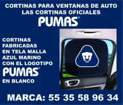 CORTINAS PARA AUTO PARA CAMPAÑAS