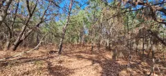Venta de terrenos campestres