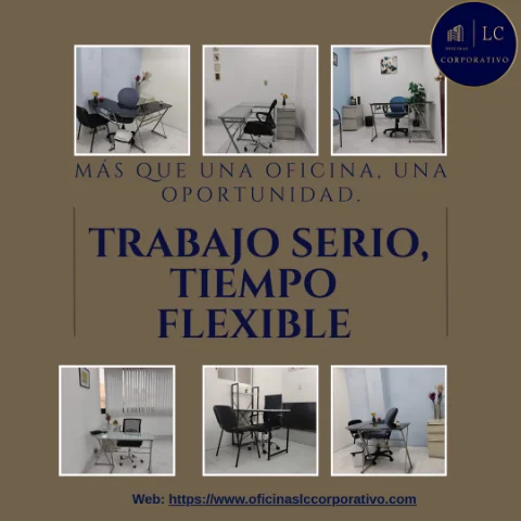 La oficina ideal para empresas que quieren crecer