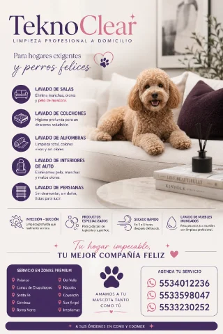 Lavado de salas colchones persianas y alfombras