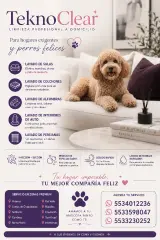 Lavado de salas colchones persianas y alfombras