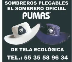 MANITAS APLAUDIDORAS PARA CAMPAÑAS - foto 2