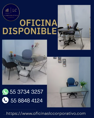 ESPACIO PARA  OFICINAS EJECUTIVAS.