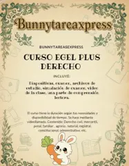 Curso egel Plus Derecho
