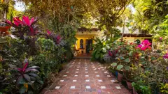 Casa Jacarandas  EAM - foto 2