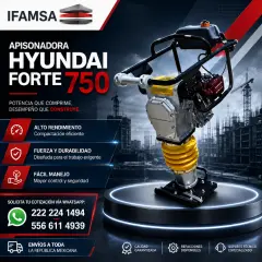 APISONADORA HYUNDAI FORTE 750