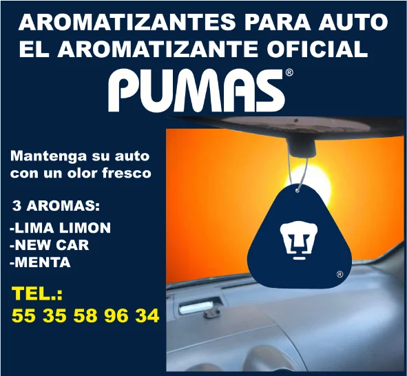 AMBIENTADORES PERSONALIZADOS PARA AUTO