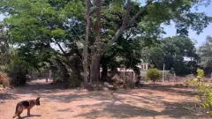 Rancho Estrella  CLM - foto 3