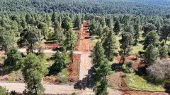 PREVENTA TERRENOS EN EL BOSQUE ATEMAJAC BRIZUELA - foto 2