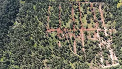 PREVENTA TERRENOS EN EL BOSQUE ATEMAJAC BRIZUELA - foto 4