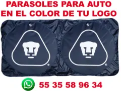 PARASOLES PARA AUTO