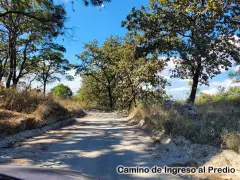 PREDIO RUSTICO LOS PINOS EN TALA JAL. 6.6 ha. - foto 5