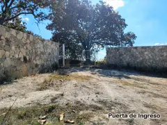 PREDIO RUSTICO LOS PINOS EN TALA JAL. 6.6 ha. - foto 4