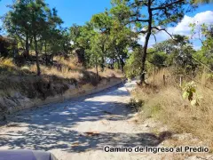 PREDIO RUSTICO LOS PINOS EN TALA JAL. 6.6 ha. - foto 6