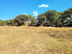 PREDIO RUSTICO LOS PINOS EN TALA JAL. 6.6 ha. - foto 9