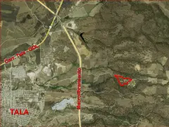 PREDIO RUSTICO LOS PINOS EN TALA JAL. 6.6 ha. - foto 3