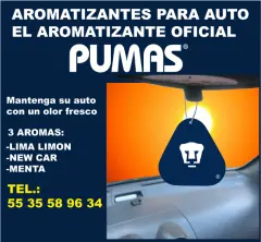 TARJETAS PERSONALIZADAS PARA AUTO A TODO COLOR - foto 5
