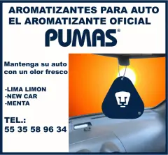 TARJETAS PERSONALIZADAS PARA AUTO A TODO COLOR - foto 7
