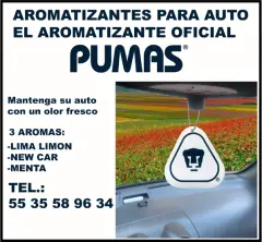 TARJETAS PERSONALIZADAS PARA AUTO A TODO COLOR - foto 8