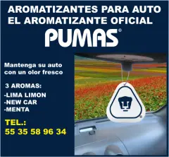 TARJETAS PERSONALIZADAS PARA AUTO A TODO COLOR - foto 6